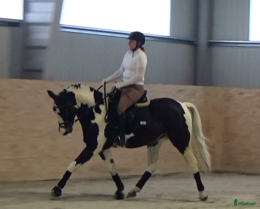 Galleribild {{count}}