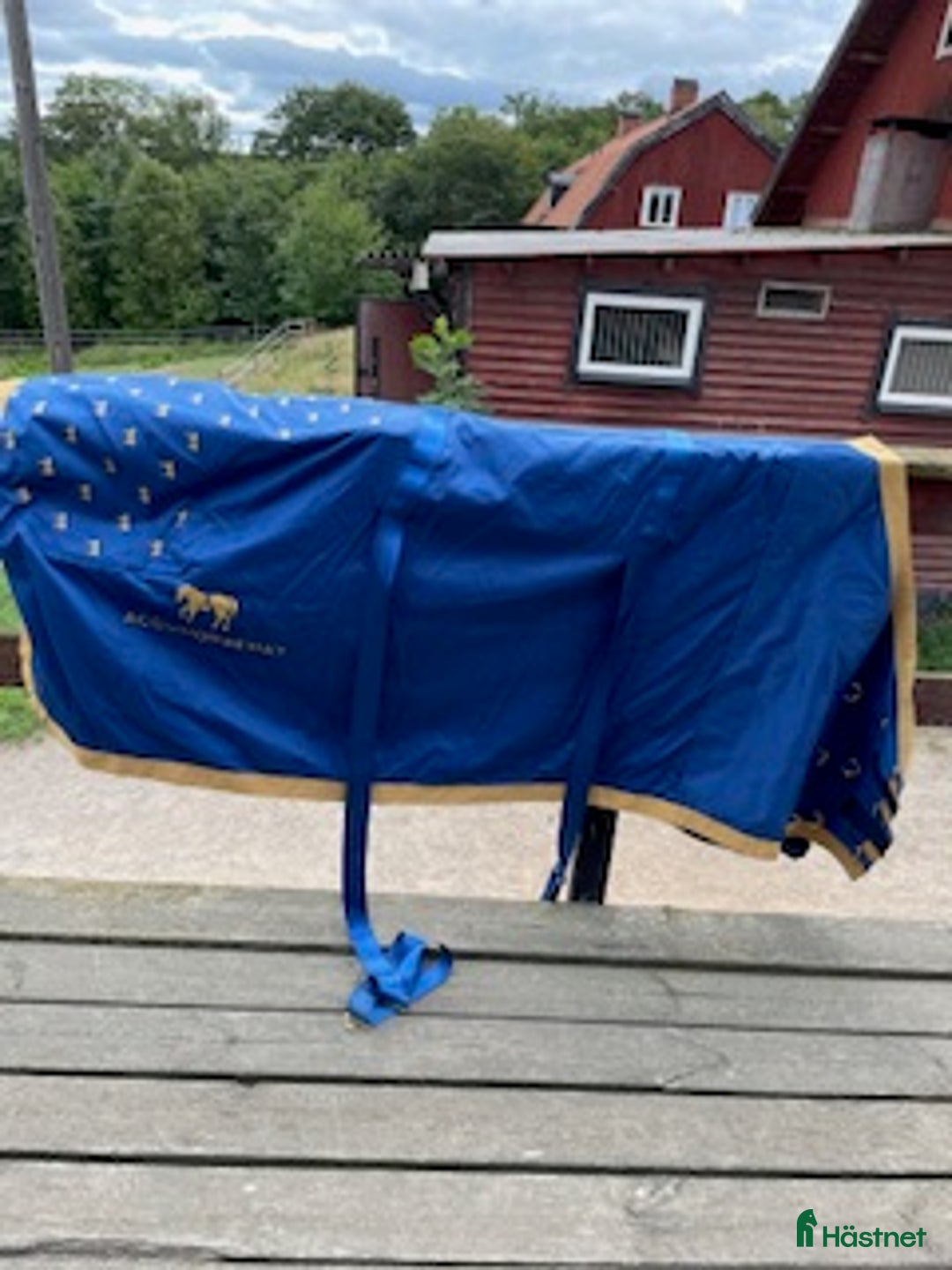 Täcken hästutrustning till salu: Accuhorsemat akupressurtäcke i Södertälje - Annons 2