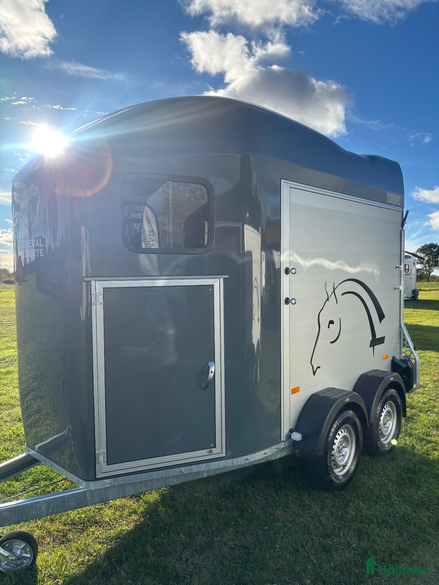 Hästtransporter  fordon & transport till salu: Cheval Gold Origins - Annons 8