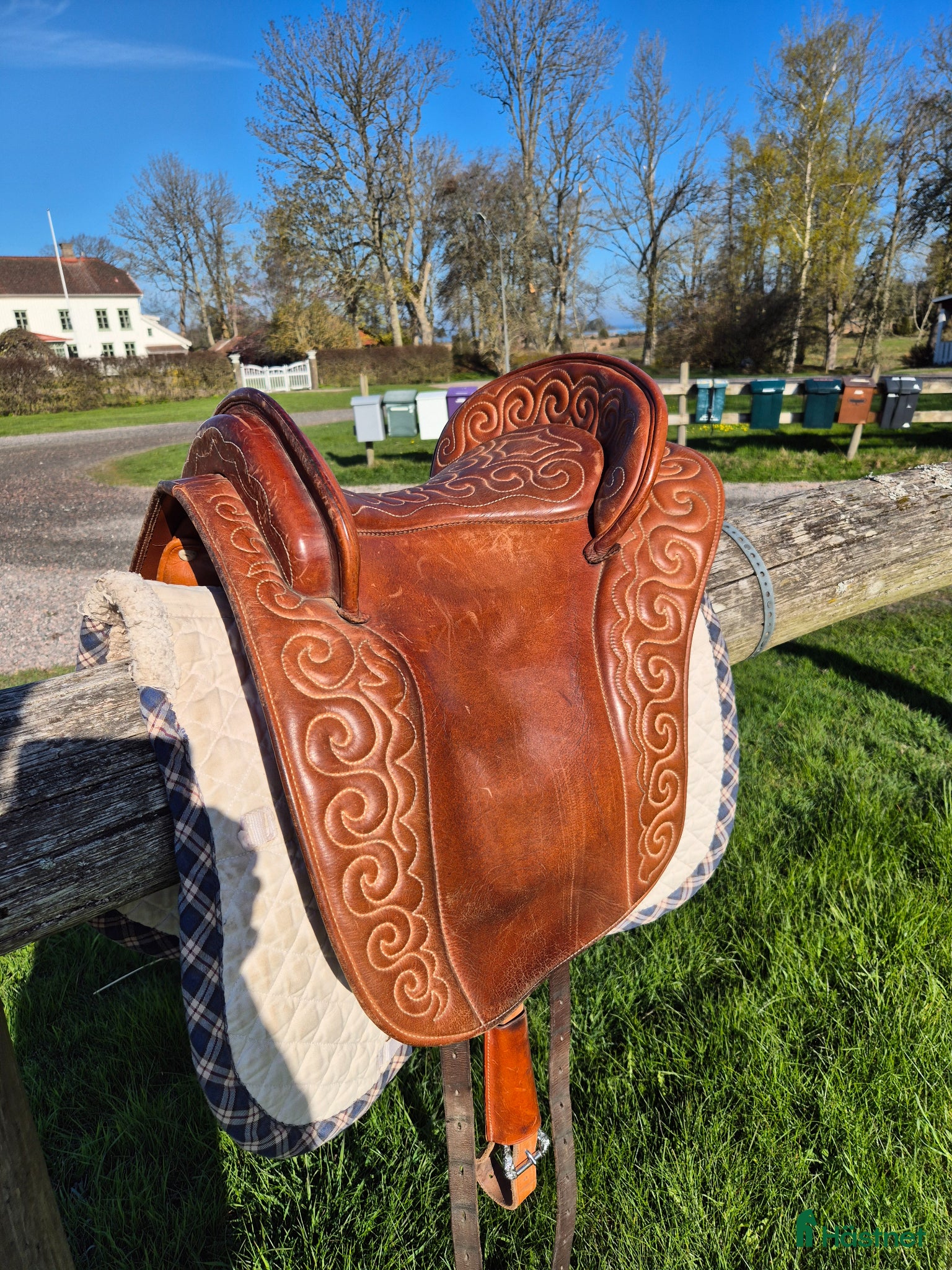 Sadlar hästutrustning Amazonas JeanneD'arc original - Annons 1