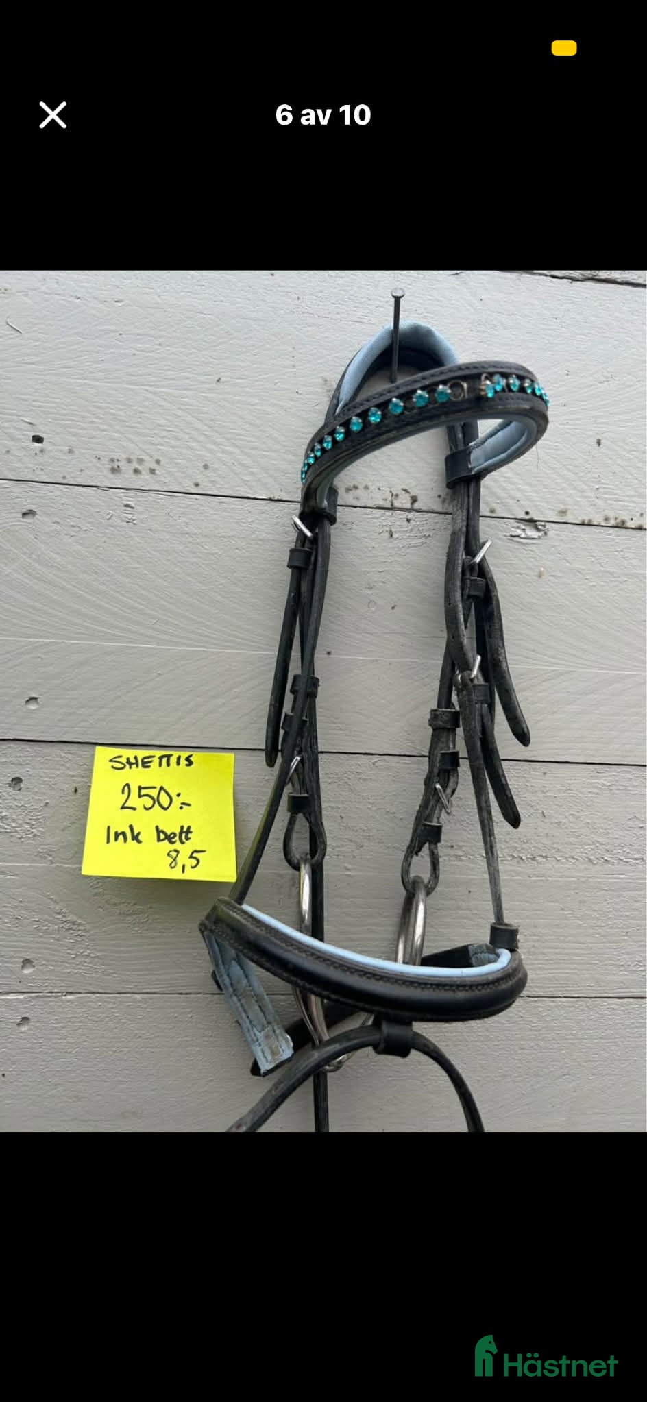 Träns hästutrustning Träns till shettis - Annons 2