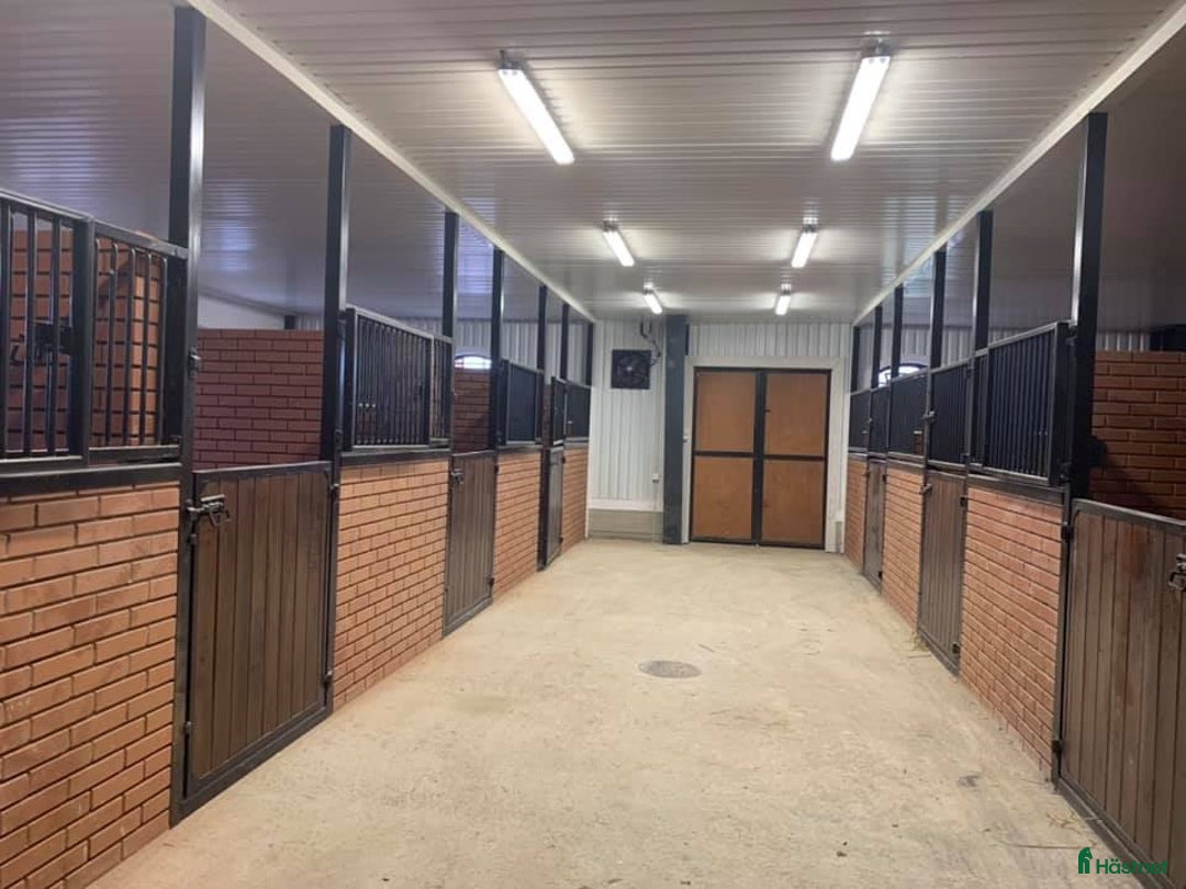  stallplats finnes: Stall uthyres till verksamhet i Linghem - Annons 1