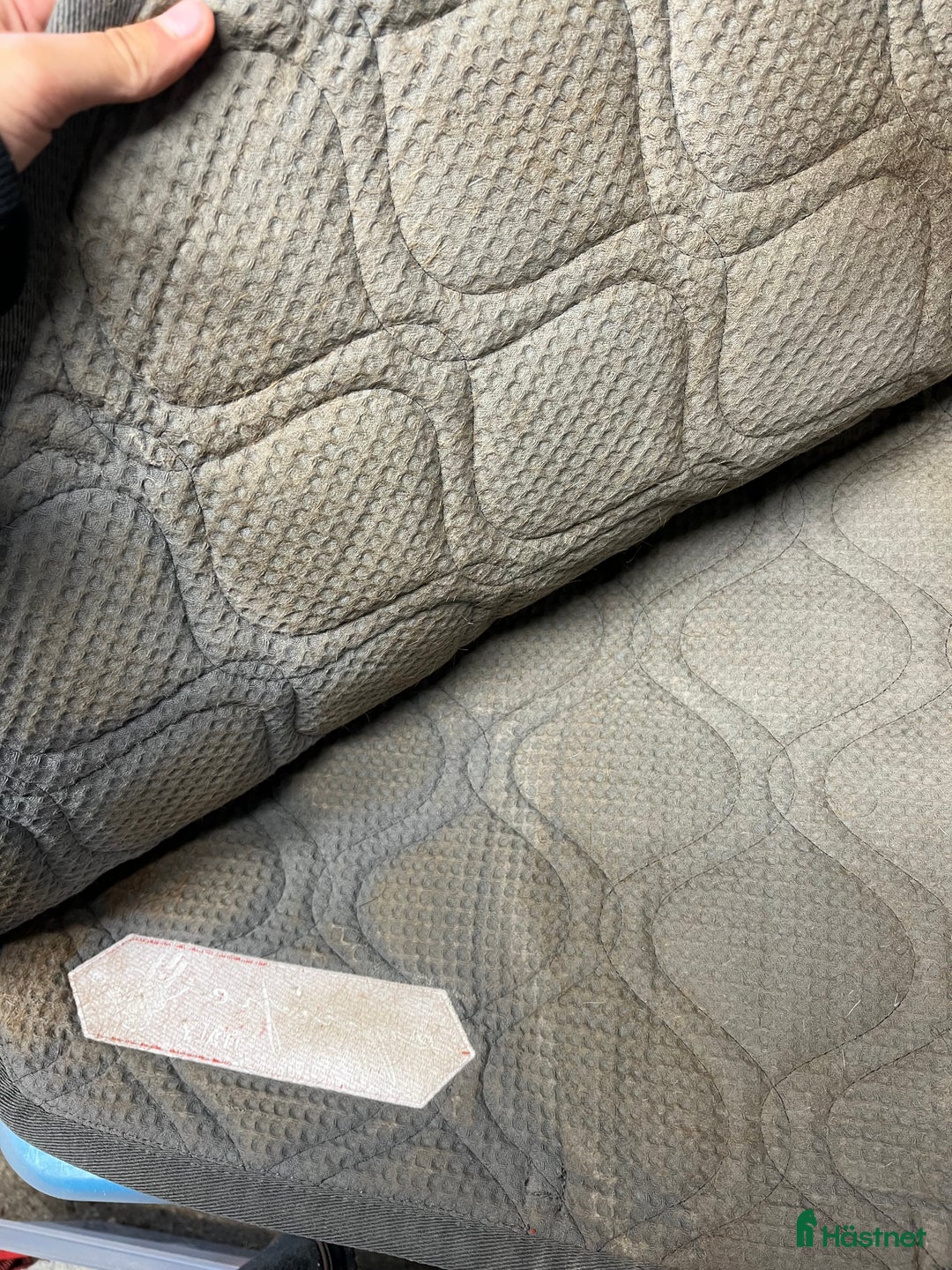 Schabrak & Vojlockar hästutrustning till salu: Equipe schabrak  i Haverdal - Annons 4