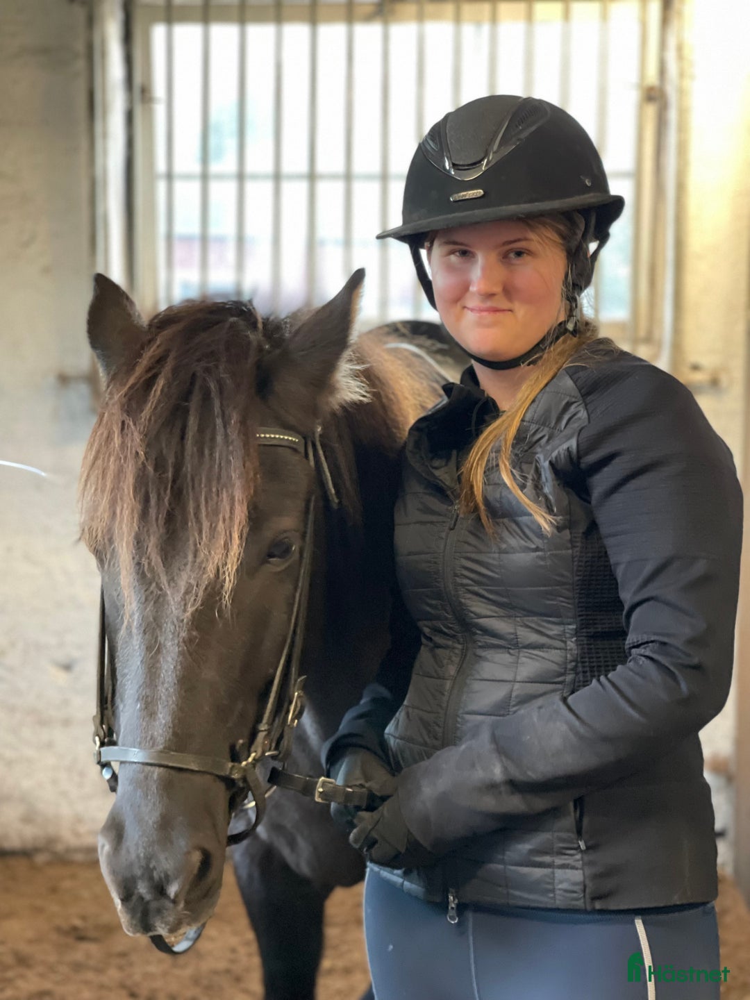  medryttarhäst sökes: Söker medryttarhäst (islandshäst) - Annons 1