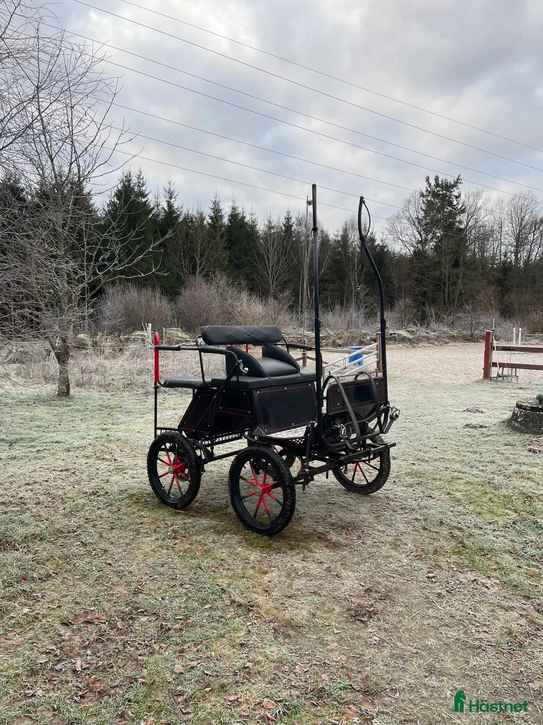 Körvagnar körning till salu: Vagn  - Annons 2