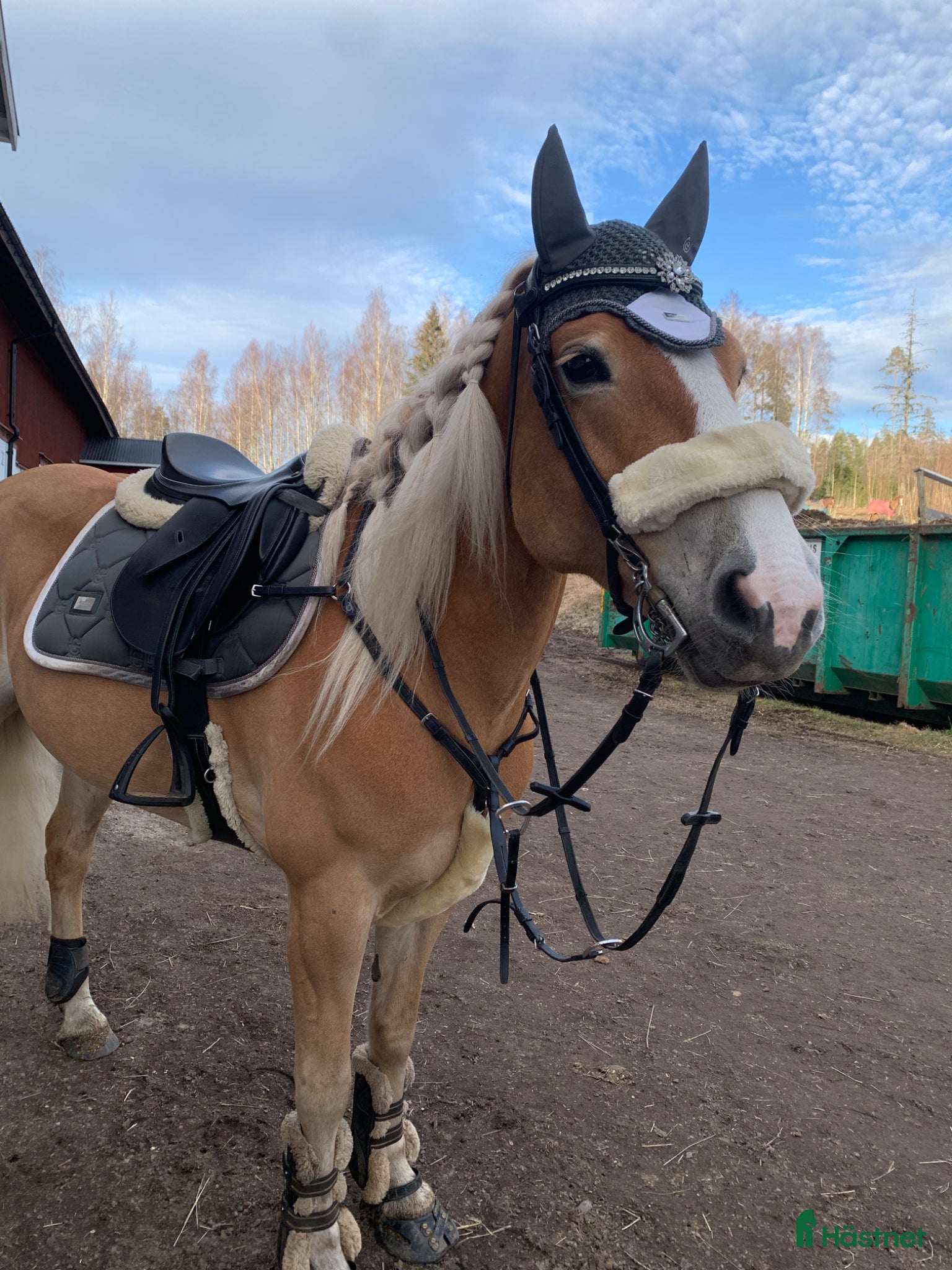 Övrig Hästutrustning hästutrustning ES Silvercloud huva  - Annons 1