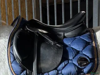 Sadlar hästutrustning Arena hoppsadel - Annons 14