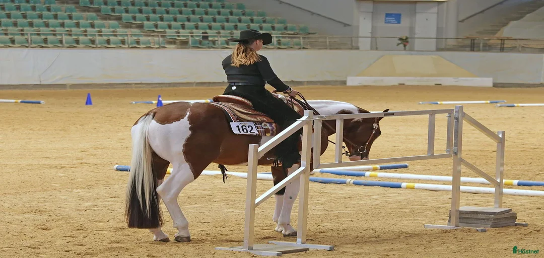 Galleribild {{count}}