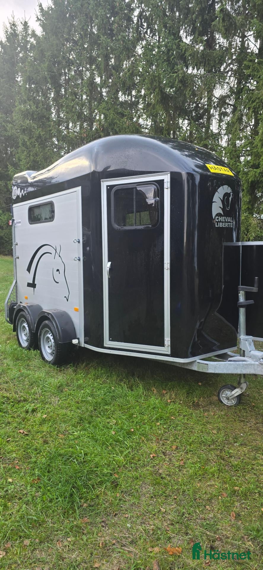 Hästtransporter  fordon & transport till salu: Cheval liberty gold 3 2023 - Annons 1