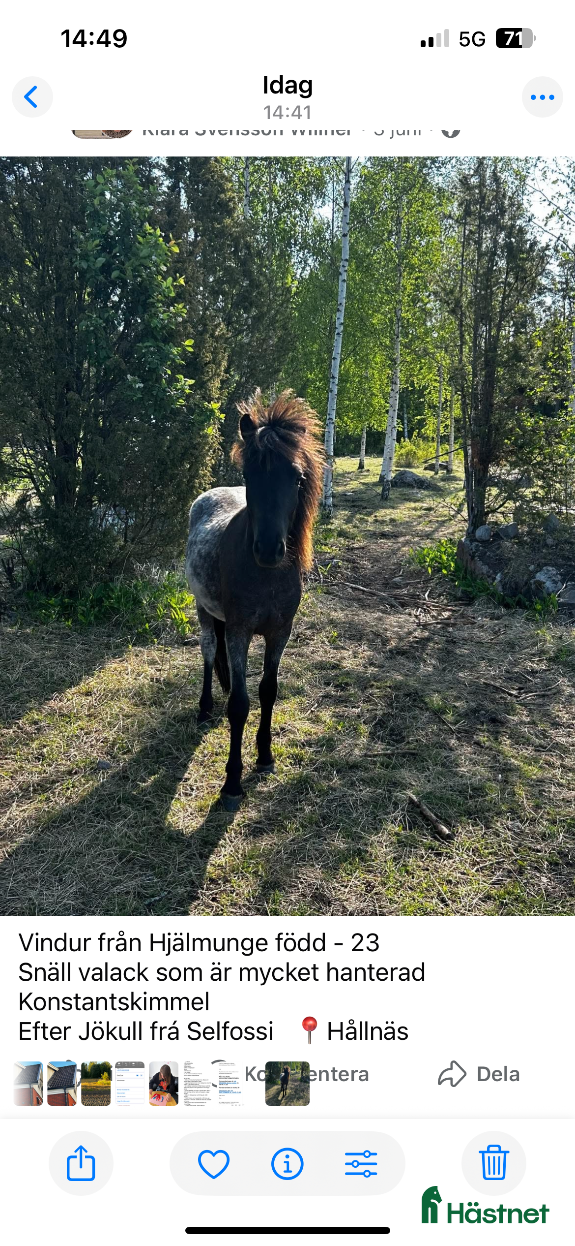  hästar Vindur i Hållnäs - Annons 10