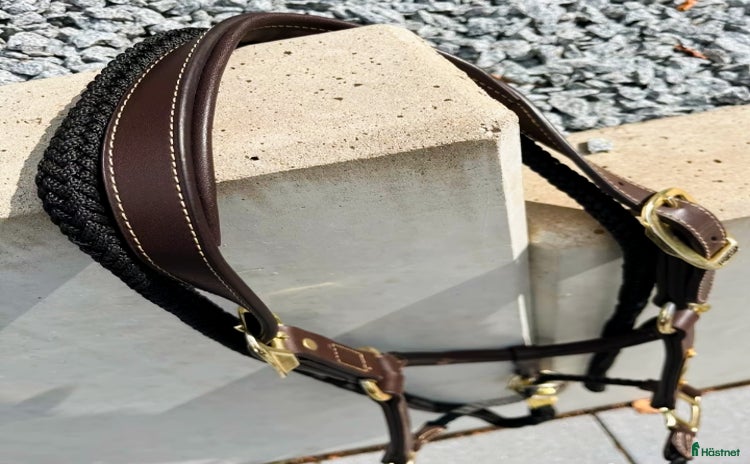 Övrig Hästutrustning hästutrustning till salu i Strömsnäsbruk - Annons 16