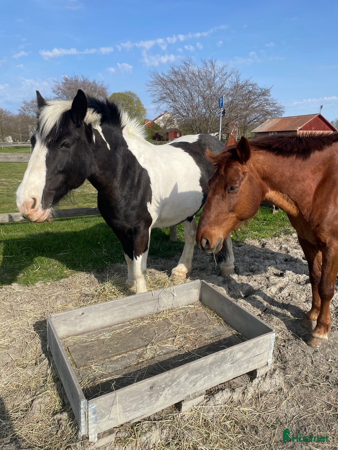 Galleribild {{count}}