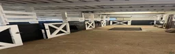  stallplats finnes: Ledig stallplats  - Annons 1