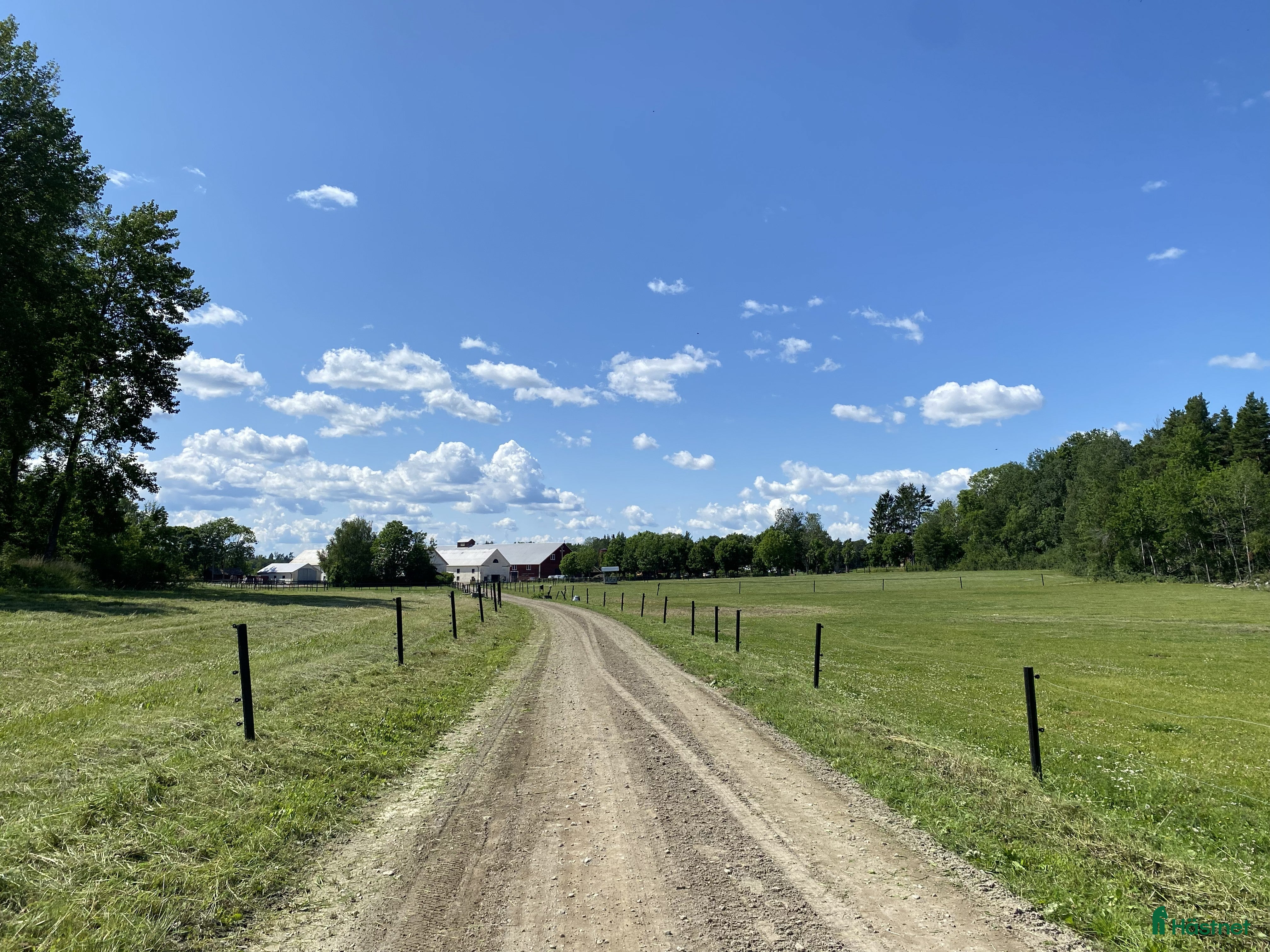  stallplats Lediga stallplatser - Annons 10