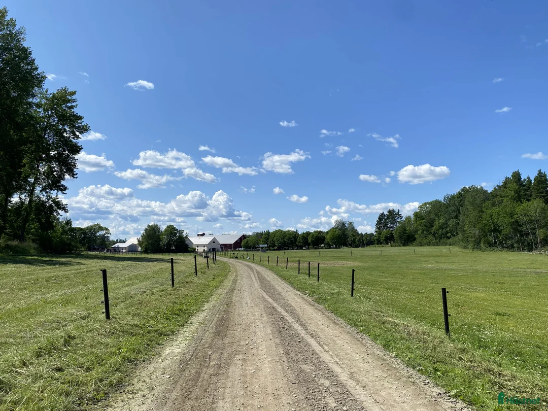  stallplats finnes: Lediga stallplatser i Mariefred - Annons 1