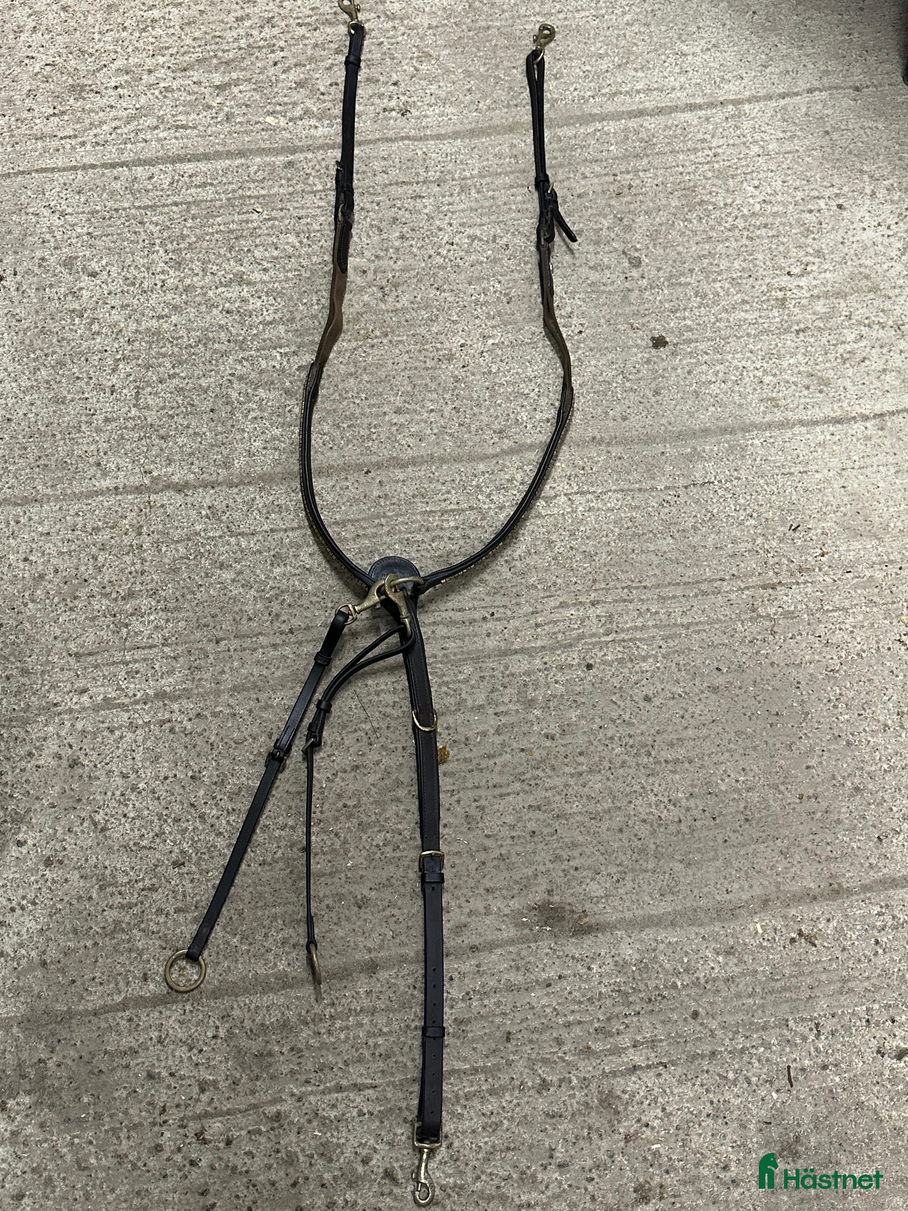 Sadeltillbehör hästutrustning Fairfield förbygel/matingal  i Sköldinge - Annons 21