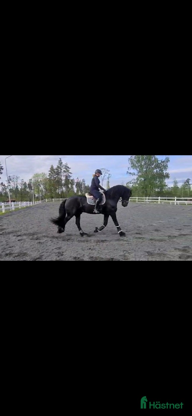  hästar Fantastisk frieservalack i Nässjö - Annons 16