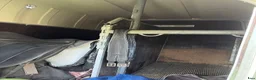 Hästtransporter  fordon & transport till salu: Kylinge kärra - Annons 3