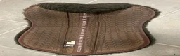 Sadeltillbehör hästutrustning till salu: Brun mattes correction pad - Annons 2