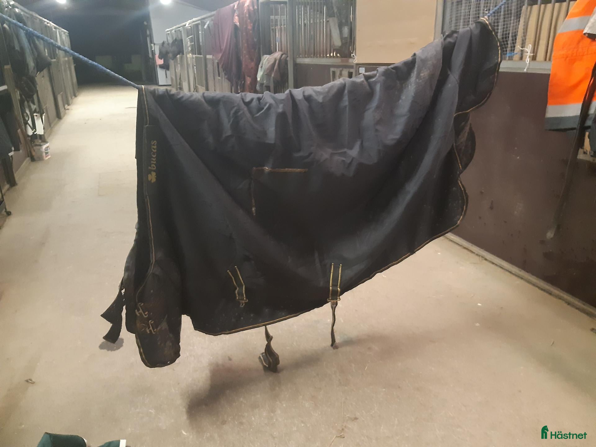 Täcken hästutrustning Bucas Irish turnaut Extra dock tunnare än 300g - Annons 2