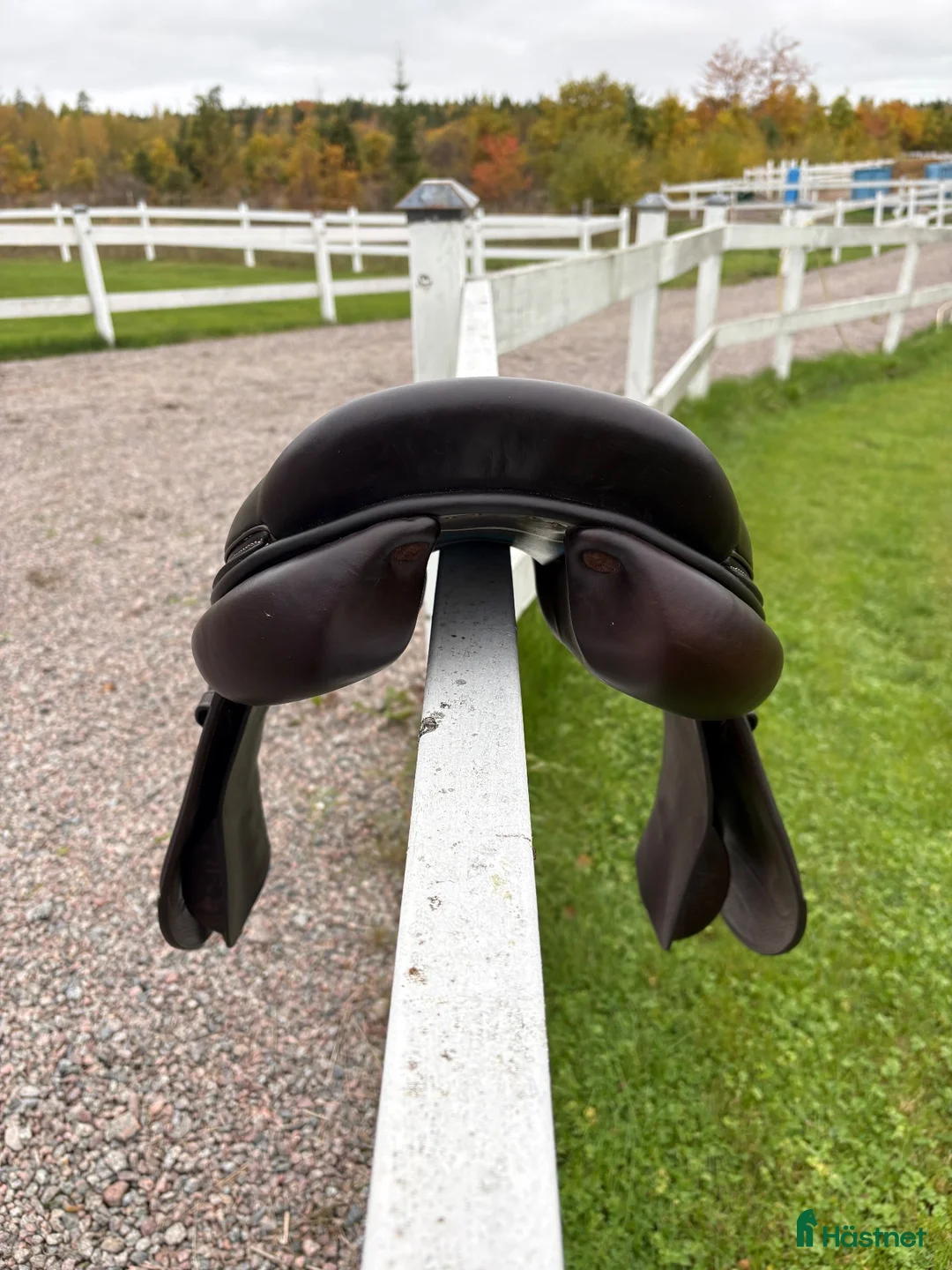 Sadlar hästutrustning till salu: Voltaire Palm Beach  - Annons 8