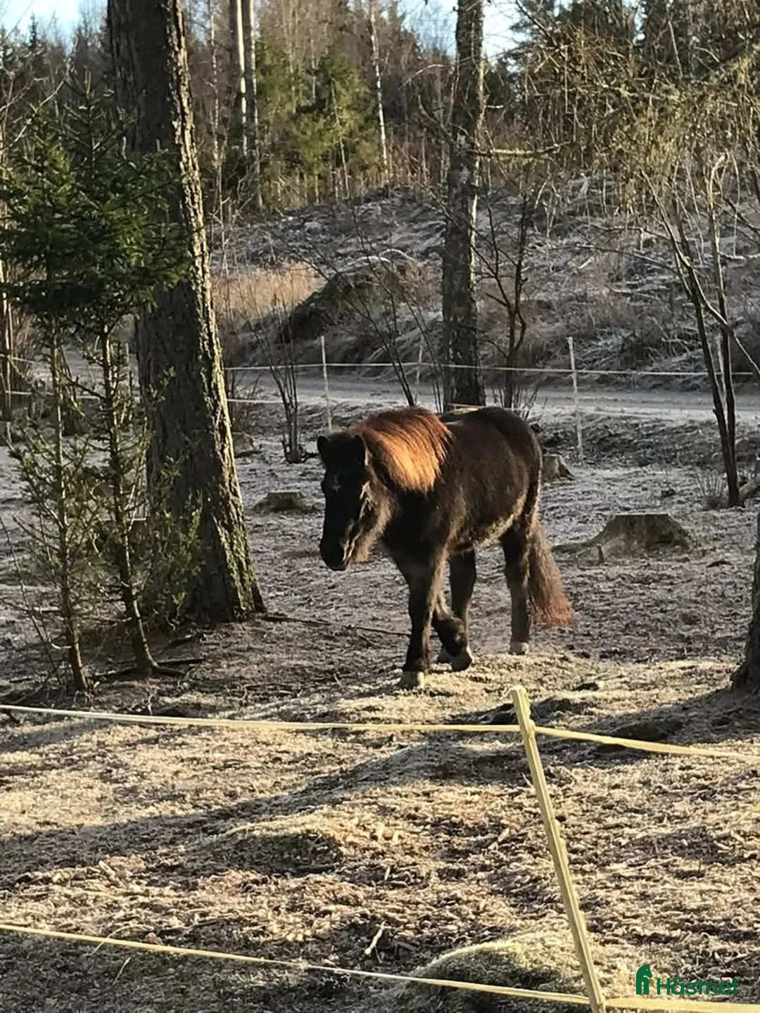  stallplats finnes: Stallplats med box och lösdrift utan kallhyra!! i Uppsala - Annons 3