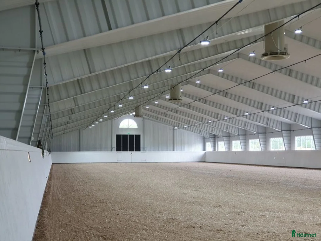  stallplats finnes: Fullservice alla dagar året om - Annons 8