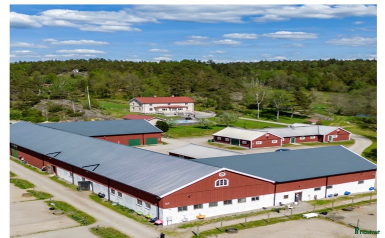 stallplats i Lödöse - Annons 10