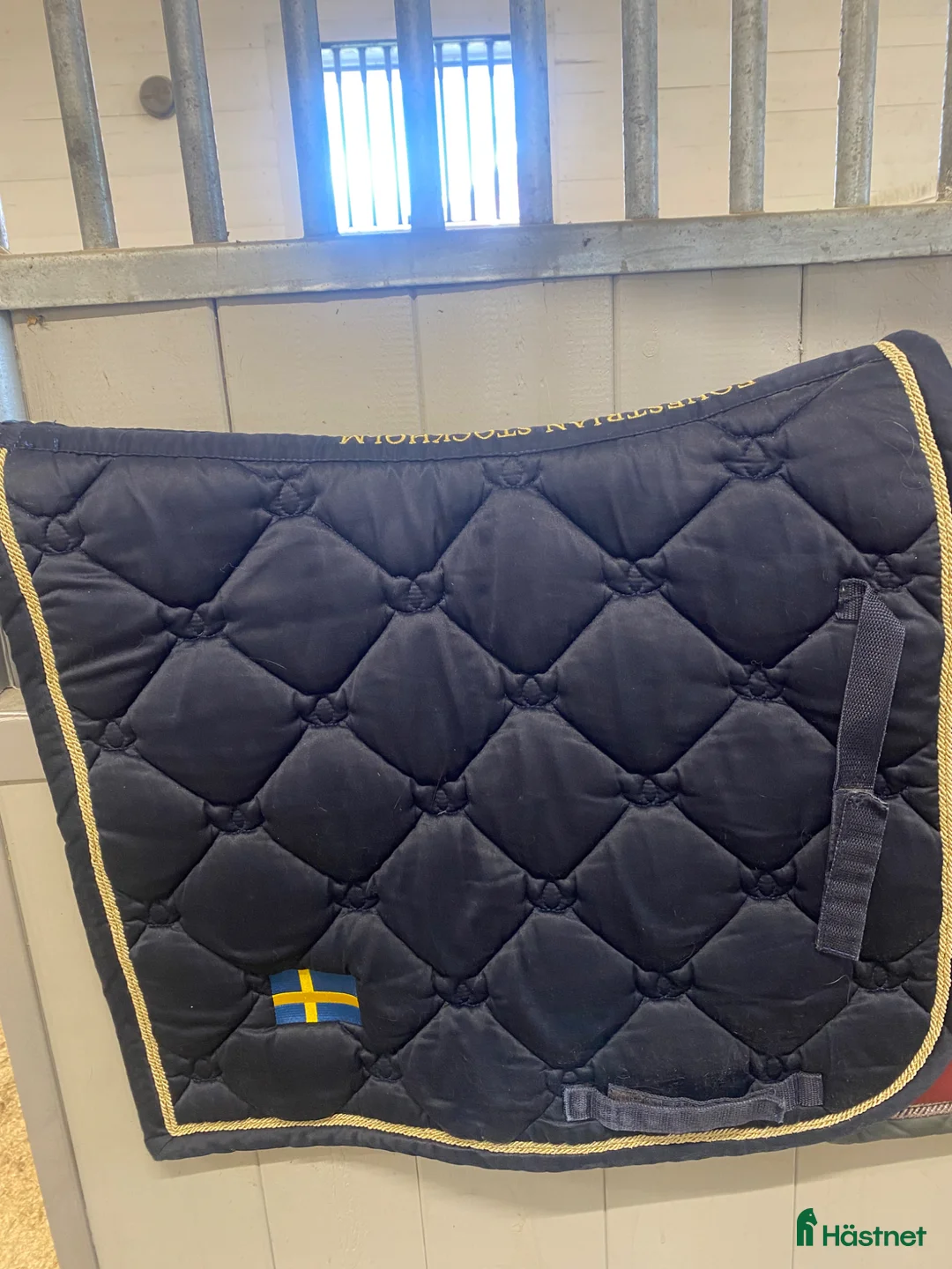Schabrak & Vojlockar hästutrustning till salu: Equestrian dressyr schabrak - Annons 2