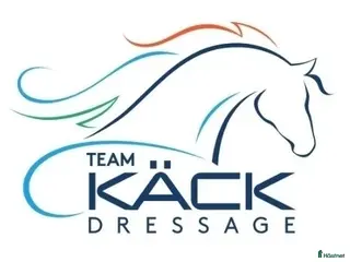 hästjobb finnes: Hästskötare sökes - Annons 3