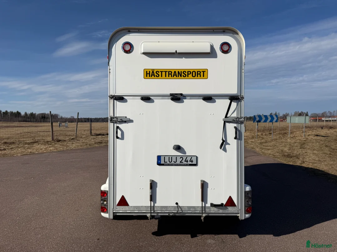 Hästtransporter  fordon & transport till salu: UME B60 -15 - Toppskick! - Annons 4