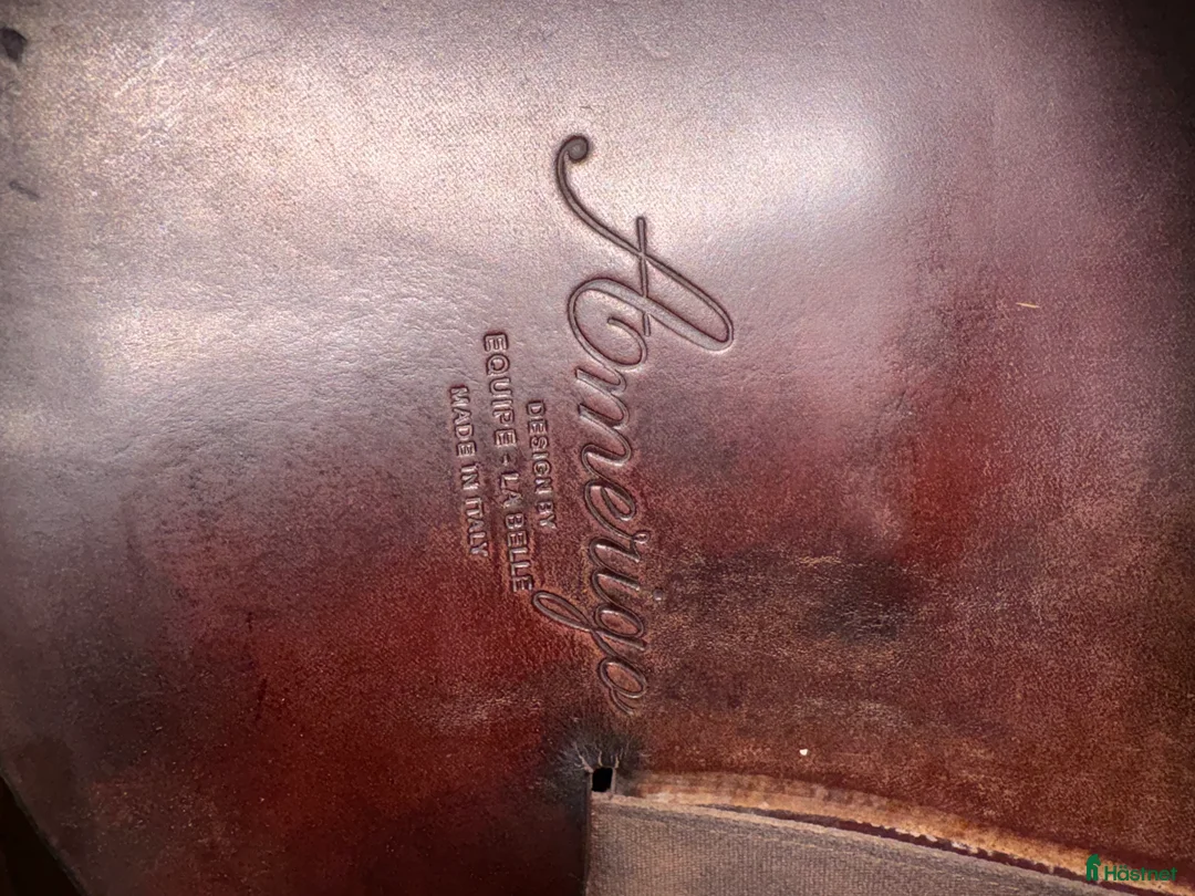 Sadlar hästutrustning till salu: Brun Amerigo Dressyr sadel - Annons 8