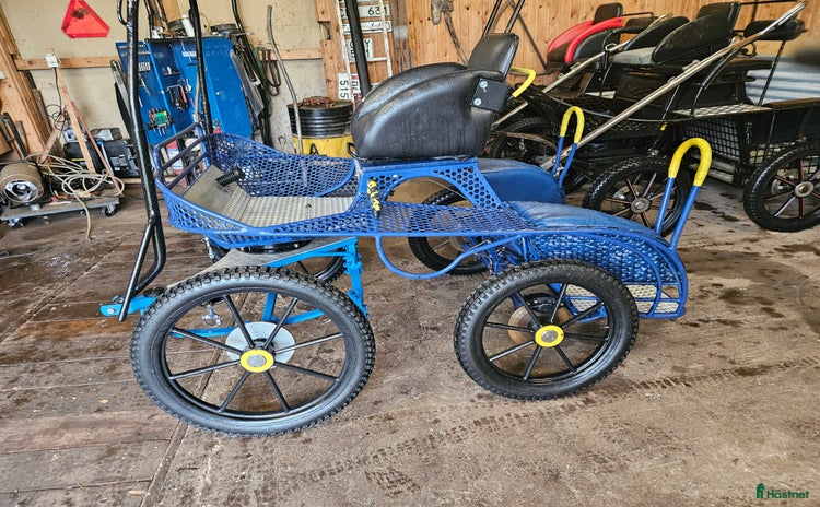 Körvagnar körning till salu i Alvesta - Annons 3