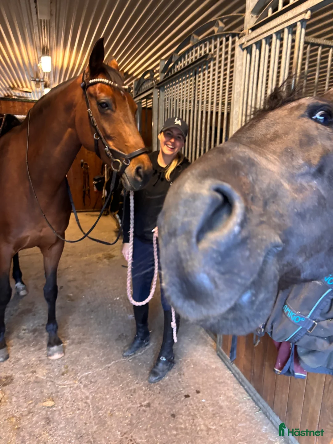  stallplats finnes: Sjövillans gård, stallet vid Mälarens strand! - Annons 2