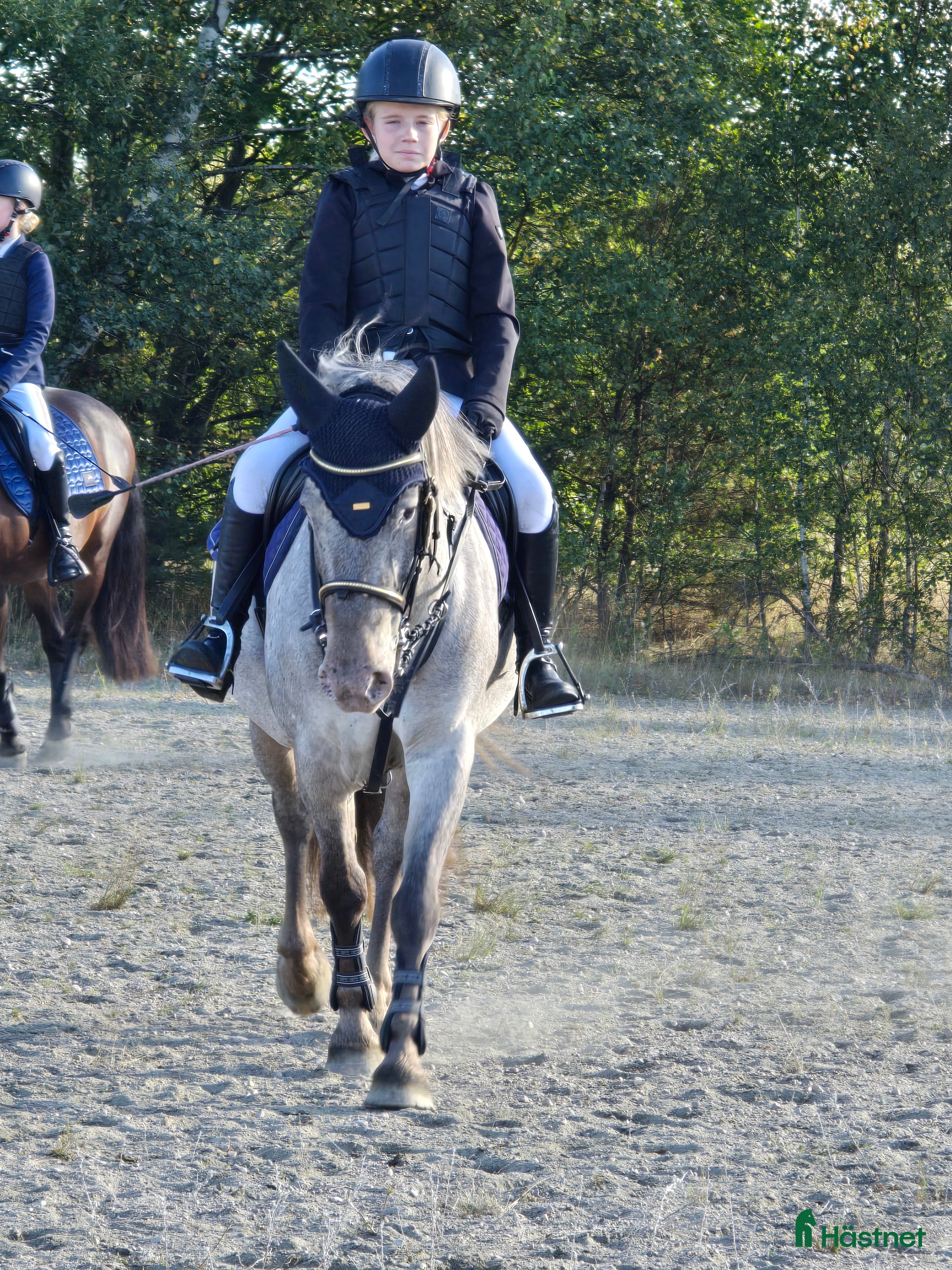  hästar Rolig sportsponny i Vedum - Annons 9