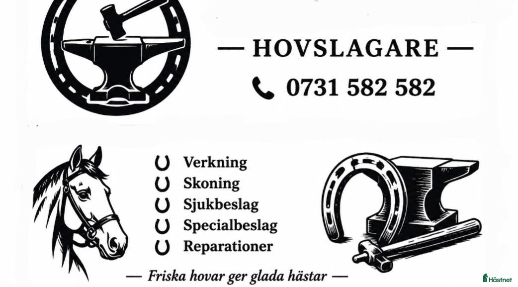  hästservice Hovslagare - Annons 6
