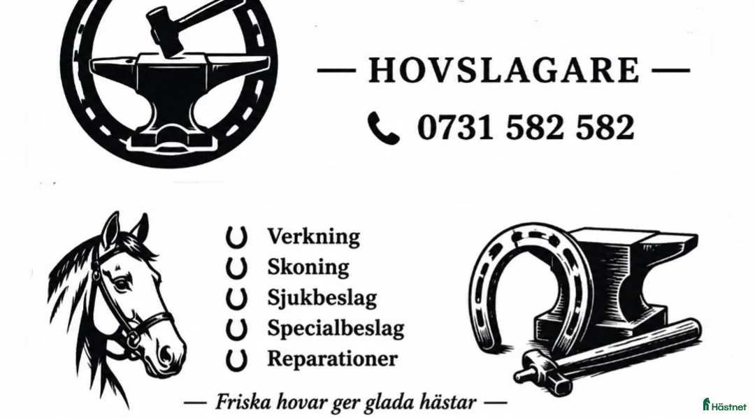  hästservice finnes: Hovslagare - Annons 1