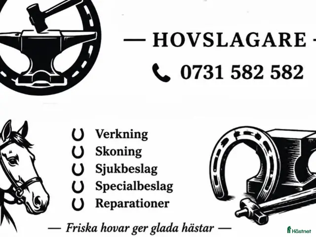 hästservice finnes: Hovslagare - Annons 1