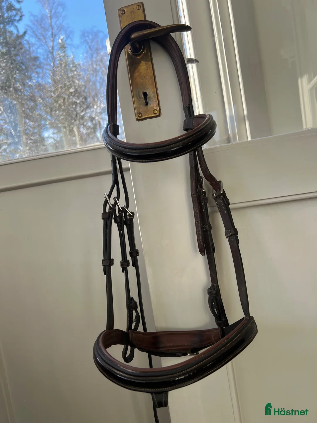 Träns hästutrustning till salu: Equipe lack träns  - Annons 1