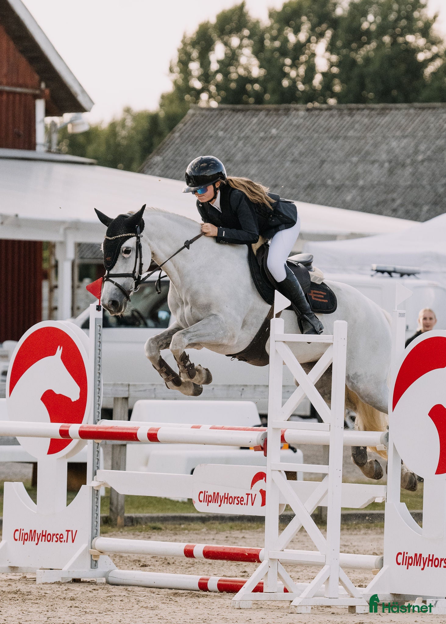  hästar Fantastisk ponny  i Helsingborg - Annons 6