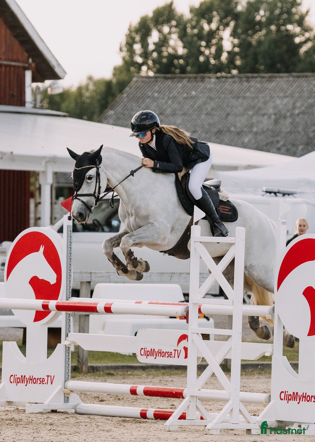 Hoppning hästar till salu: Fantastisk ponny  i Helsingborg - Annons 1
