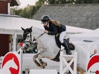 hästar Fantastisk ponny i Helsingborg - Annons 16