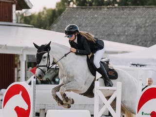 hästar Fantastisk ponny i Helsingborg - Annons 6