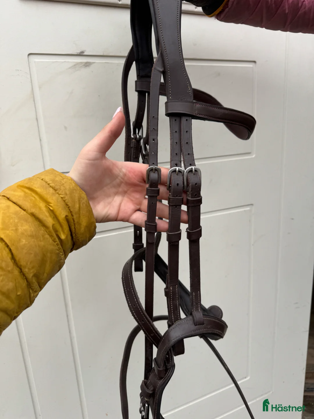 Träns hästutrustning till salu: Fint antares träns med dyon pannband  - Annons 2