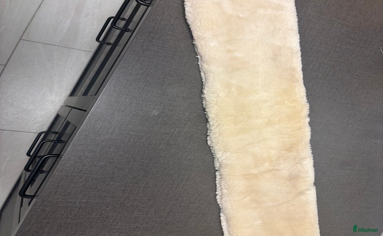 Sadeltillbehör hästutrustning till salu i Landskrona - Annons 7