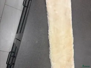 Sadeltillbehör hästutrustning till salu: Sadelgjordstunnel i Landskrona - Annons 4