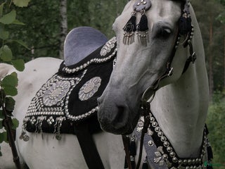 Träns hästutrustning till salu: Träns med tillhörande brösta och sadel i Kälarne - Annons 12