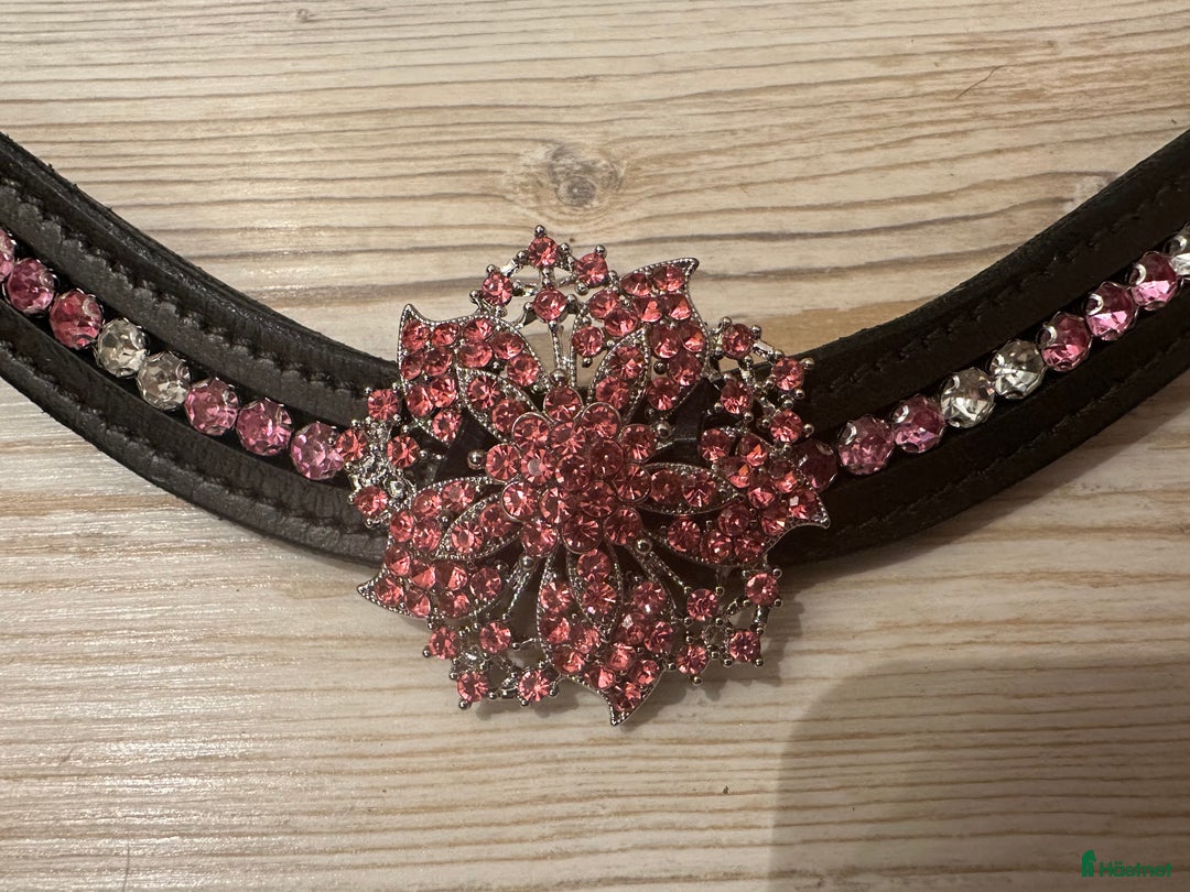 Övrig Hästutrustning hästutrustning till salu: Unika pannband till häst och ponny i Bro - Annons 5