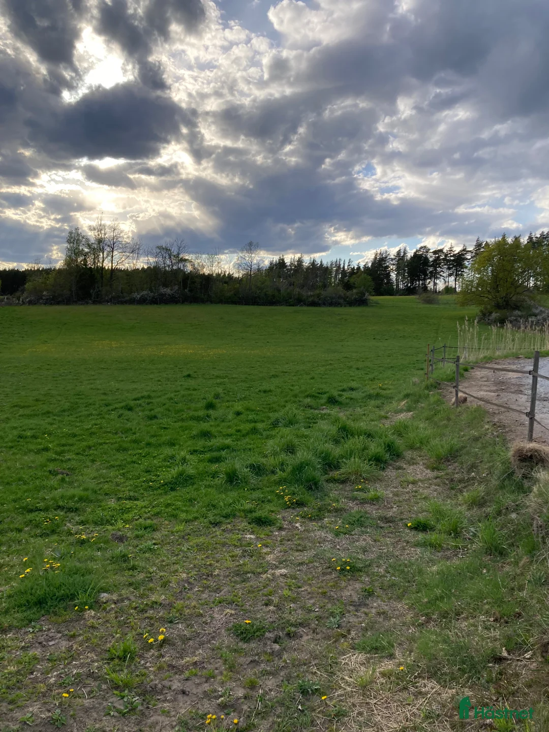  hästservice finnes: Sommarbete i Skokloster - Annons 1