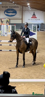  hästar SWB STO – välstammad hopphäst - Annons 2